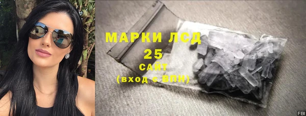 соль ск Дмитриев