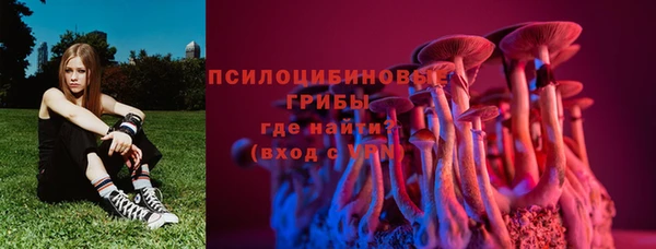 соль ск Дмитриев