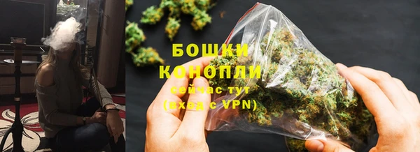 хмурый Дмитровск