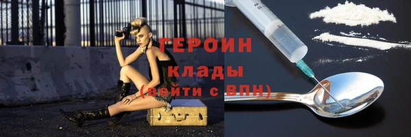 соль ск Дмитриев