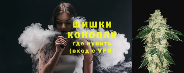 соль ск Дмитриев