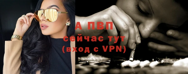 спиды Дмитров