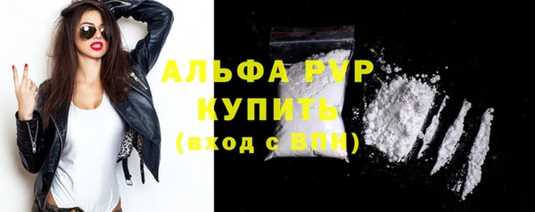 соль ск Дмитриев
