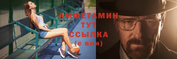 соль ск Дмитриев