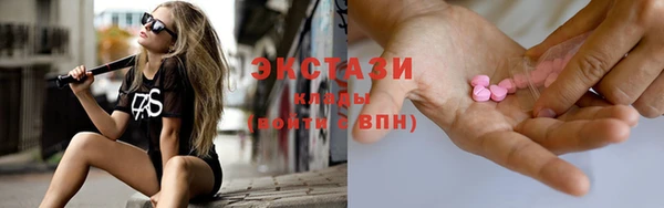 соль ск Дмитриев