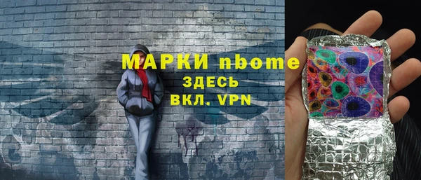 хмурый Дмитровск