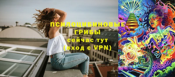 соль ск Дмитриев