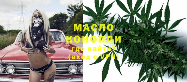 хмурый Дмитровск