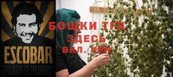 соль ск Дмитриев