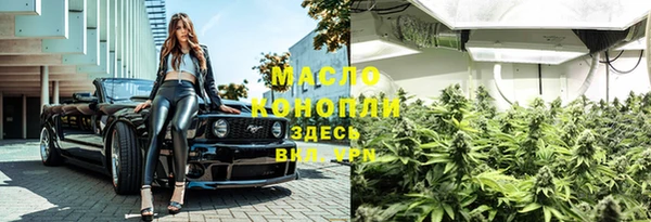 хмурый Дмитровск