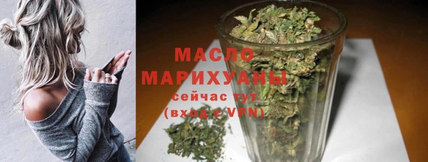 хмурый Дмитровск