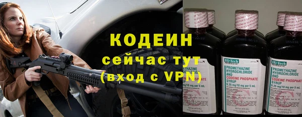 хмурый Дмитровск